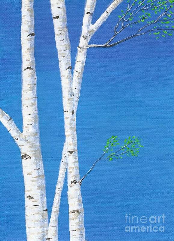 Birch Tree Art Print featuring the painting Birch Trees by Mary Scott
