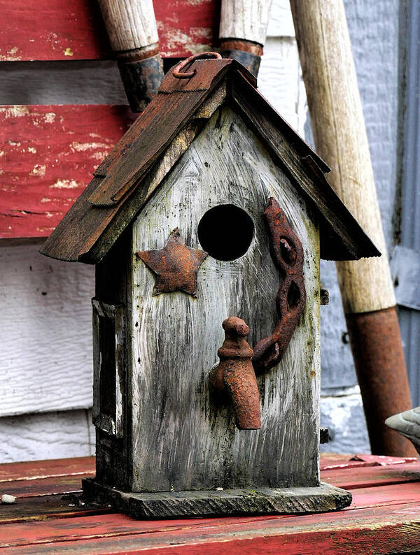 Bird House Art Print featuring the photograph Bird house with water by Ron Roberts