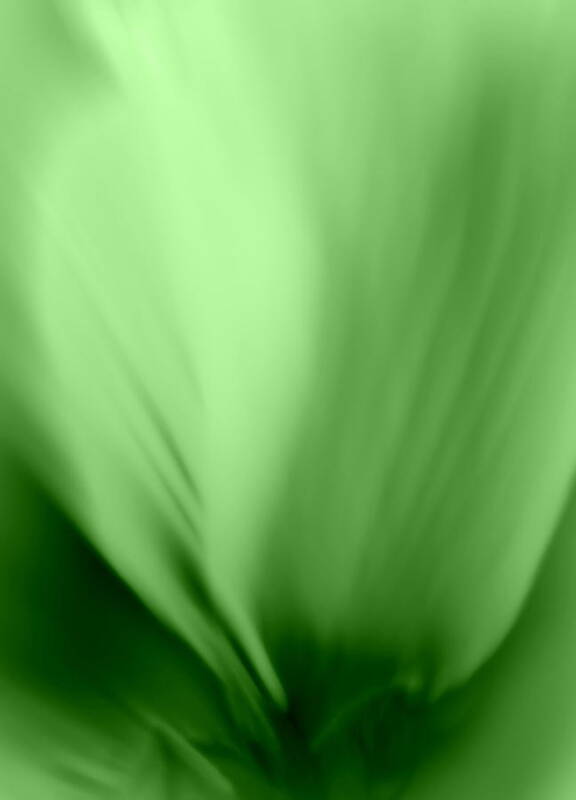 Green Art Print featuring the photograph Bloom in Green by Mary Beth Landis