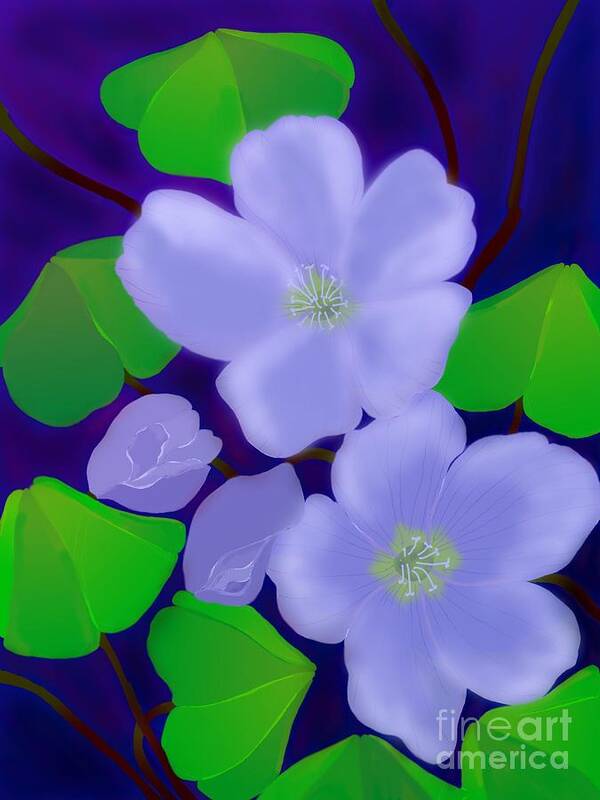 Oxalis Flowers Art Print featuring the digital art Blooms of Good luck by Latha Gokuldas Panicker