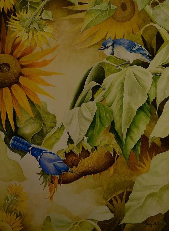 Watercolor Art Print featuring the painting Blue Jays on Sunflower by Charles Owens
