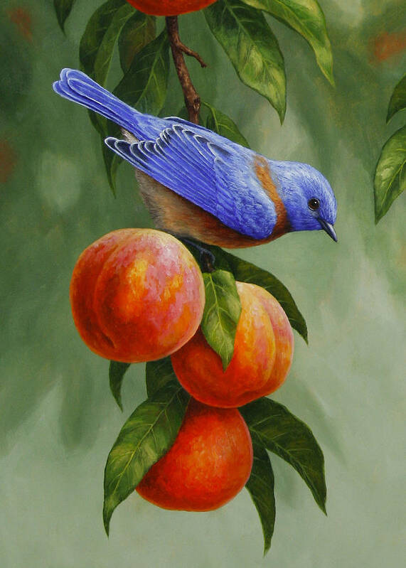 Bird Art Print featuring the painting Bluebird and Peaches Greeting Card 1 by Crista Forest