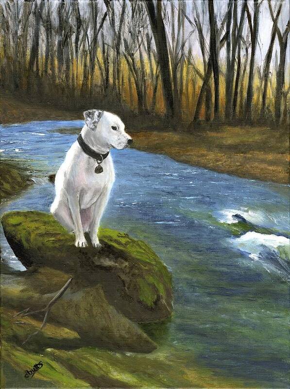 Dog Art Print featuring the painting Bo at the Patapsco by Deborah Butts