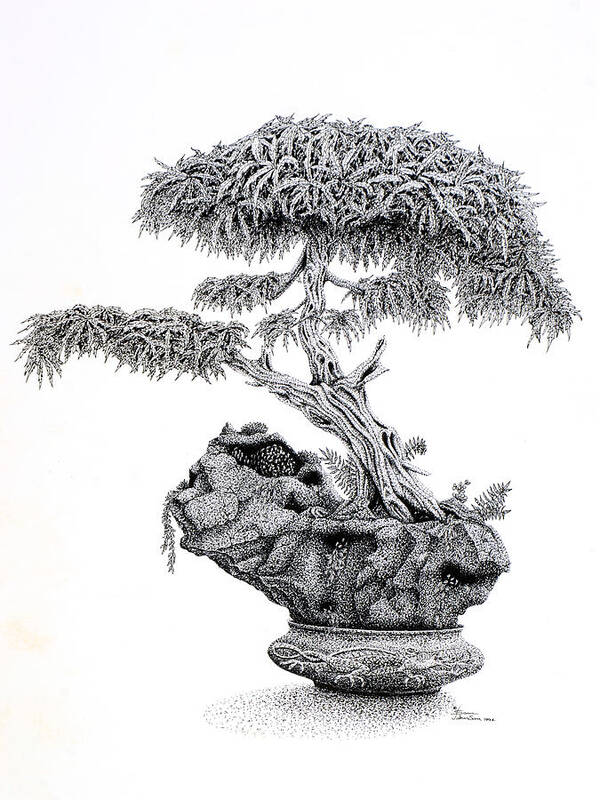 Bonsai Art Print featuring the drawing Bonsai by Sam Davis Johnson