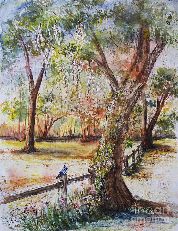 Watercolor Art Print featuring the painting Bushnell Morning by Janis Lee Colon