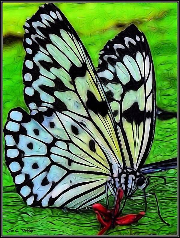 Butterfly Art Print featuring the painting Butterfly on A Lily Pad by Jon Volden