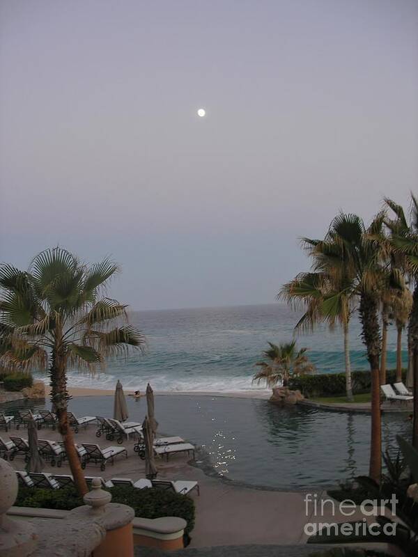 Ocean Art Print featuring the photograph Cabo Moonlight by Susan Garren