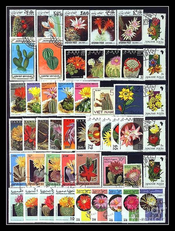 Stamp Art Print featuring the photograph Cactus Postage Stamps by Renee Trenholm