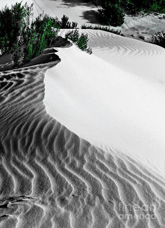 Landscape Art Print featuring the digital art Cape Le Grande Sand Dune by Tim Richards