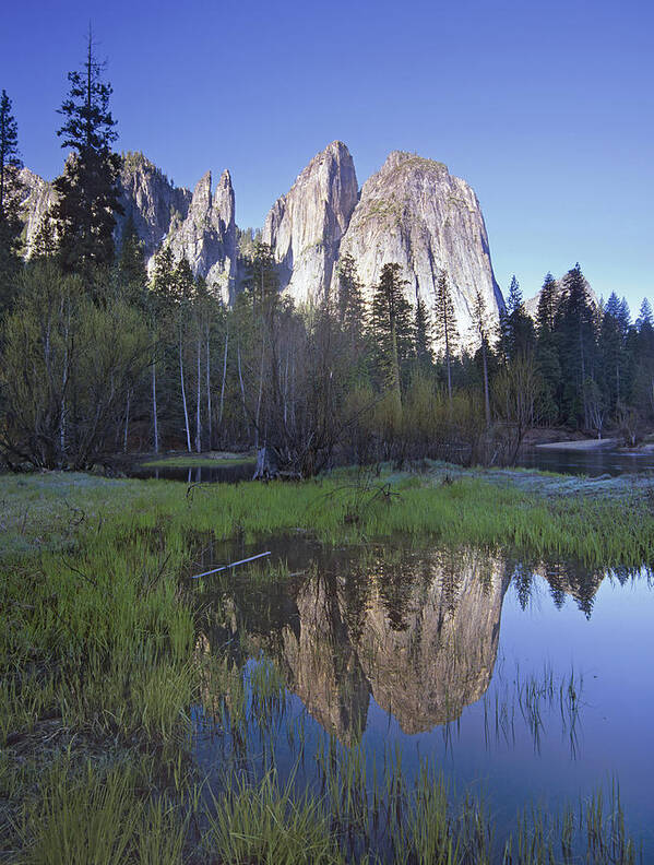 Feb0514 Art Print featuring the photograph Cathedral Rock And The Merced River by Tim Fitzharris