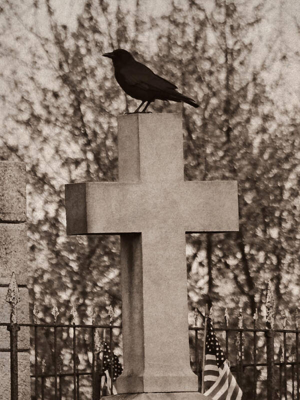 Cemetery Art Print featuring the photograph Cemetery Sitter by Dark Whimsy