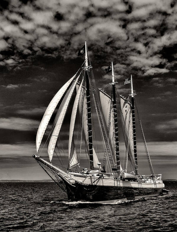 Windjammer Art Print featuring the photograph Chimes by Fred LeBlanc