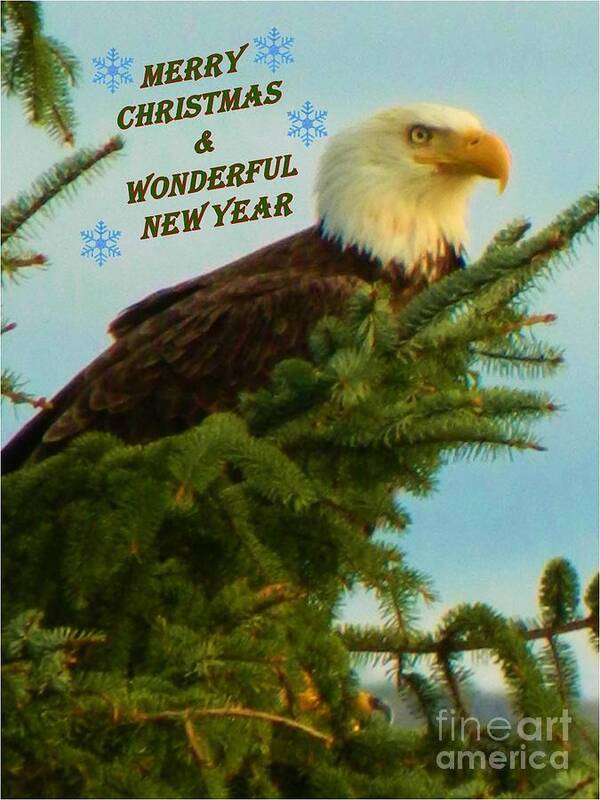 Christmas Art Print featuring the photograph Christmas Eagle by Gallery Of Hope 
