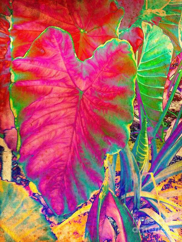 Colocasia Art Print featuring the photograph Colocasia by Denise Tomasura