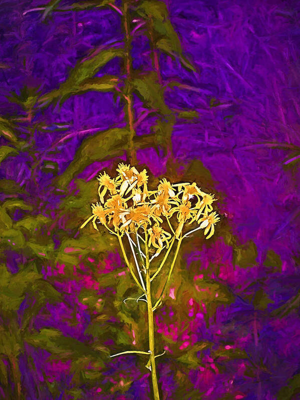 Floral Art Print featuring the photograph Color 5 by Pamela Cooper