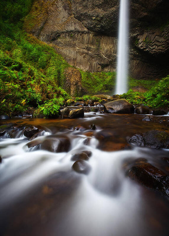 Lush Art Print featuring the photograph Columbia Gorge Richness by Darren White