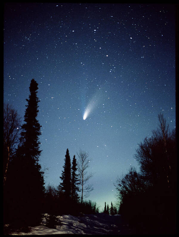 Astronomy Art Print featuring the photograph Comet Hale-bopp And Aurora Borealis by Jack Finch/science Photo Library