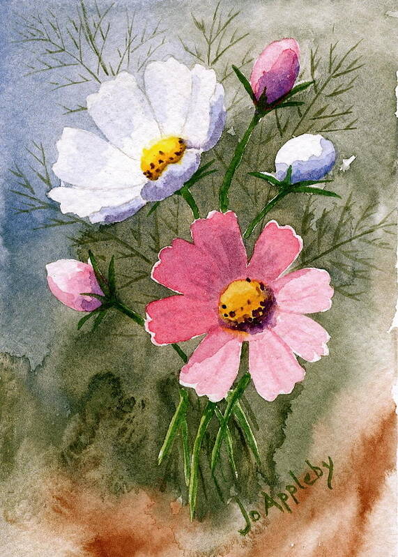 Jo Appleby Art Print featuring the painting Cosmos Blooms by Jo Appleby