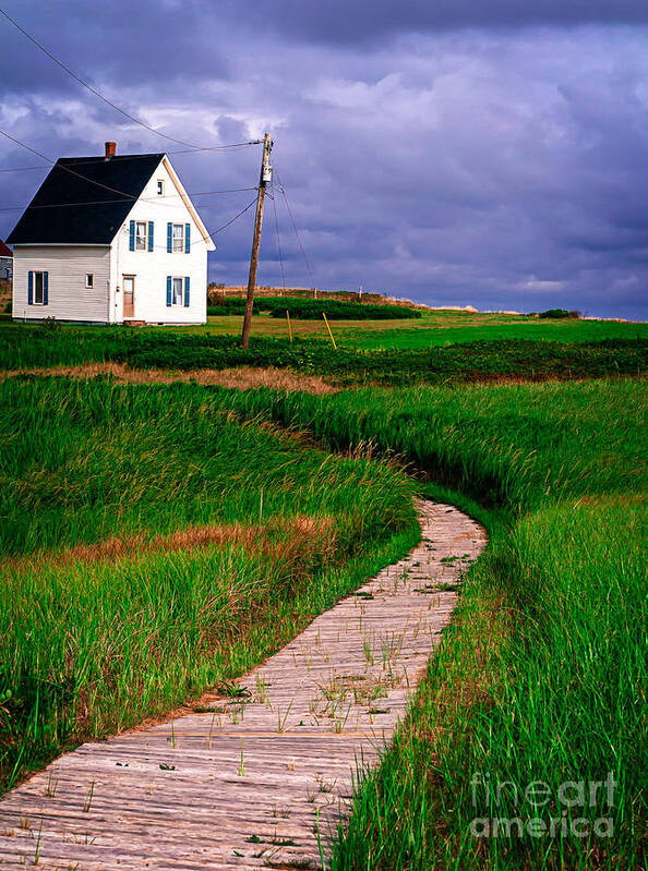Canada Art Print featuring the photograph Cottage Among the Dunes by Edward Fielding