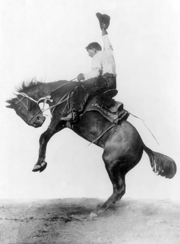 Occupation Art Print featuring the photograph Cowboy Riding Bucking Bronco, 1911 by Science Source