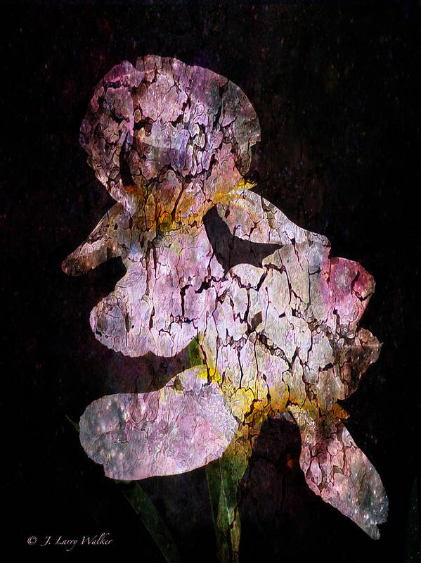 J Larry Walker Art Print featuring the digital art Crackled Iris Abstract by J Larry Walker