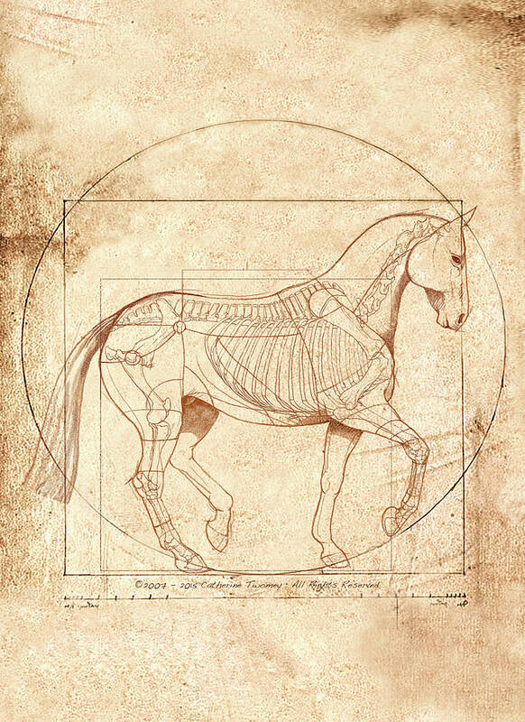 Equine Art Print featuring the painting da Vinci Horse in Piaffe by Catherine Twomey