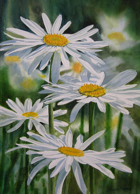 Daisies Art Print featuring the painting Daisy Garden by Sharon Freeman