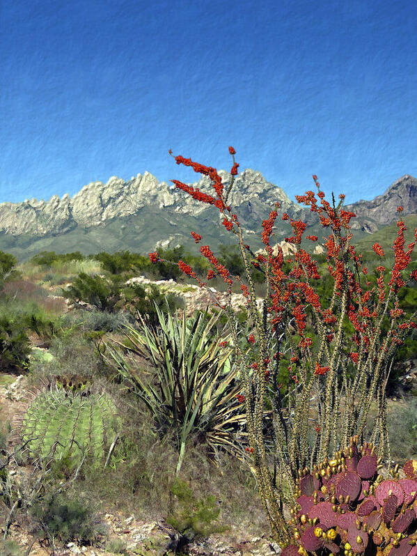 Desert Art Print featuring the photograph Desert Bloom by Kurt Van Wagner