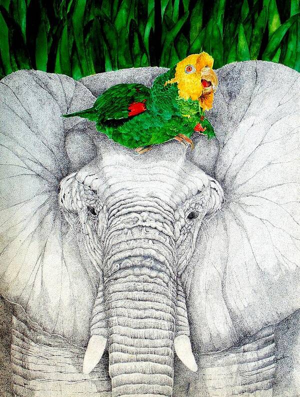Pen & Ink Art Print featuring the painting Elephant and Parrot by Peggy Guichu
