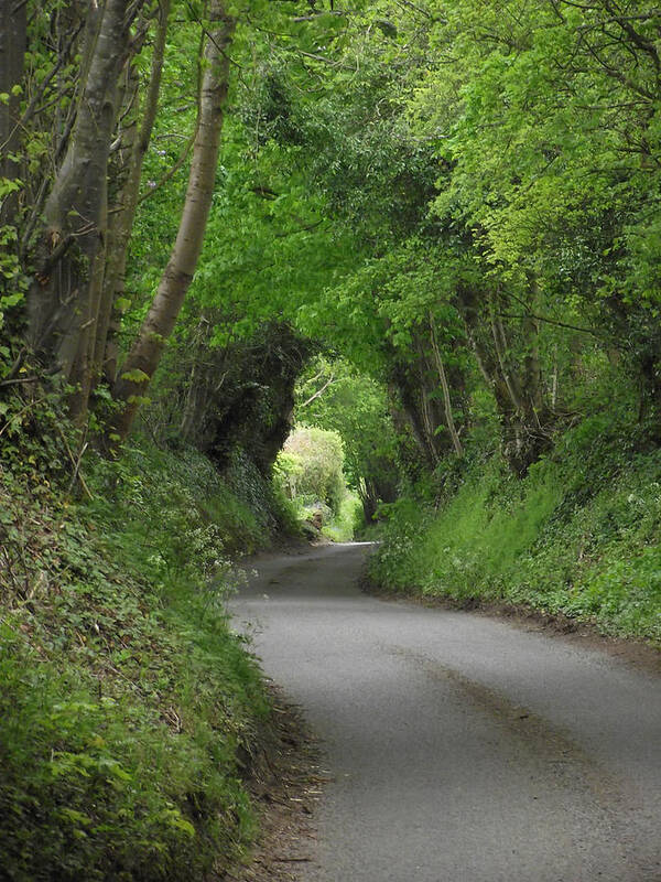Green Art Print featuring the photograph English Country Lane by Jayne Wilson