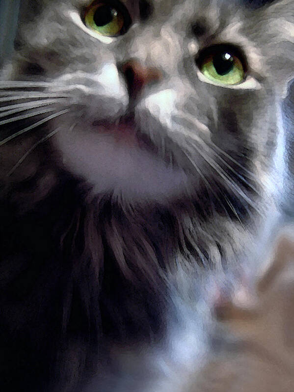 Cat Art Print featuring the photograph Eyes Nose Mouth Whiskers by Louise Kumpf