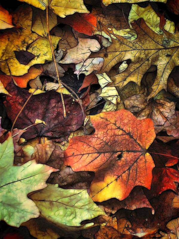 Leaf Art Print featuring the photograph Fall Colors by Lyle Hatch