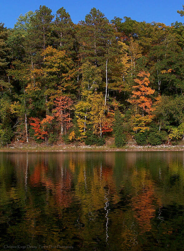 Fall Art Print featuring the photograph Fall Reflection by Forest Floor Photography