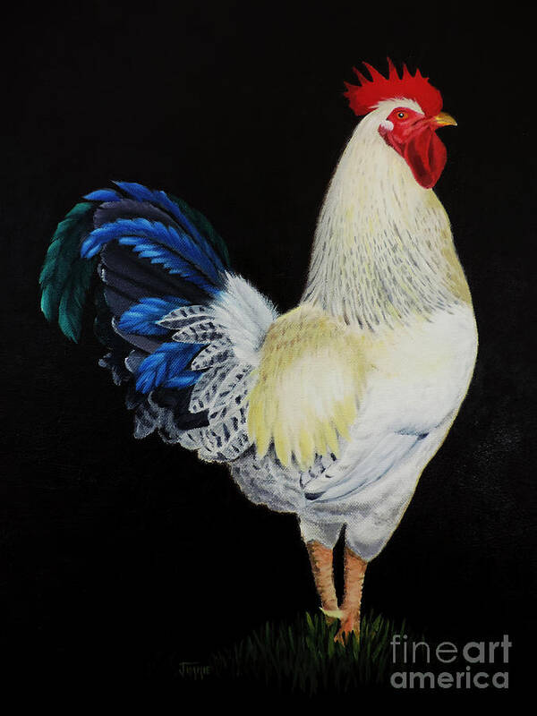 Fancy Tail Rooster Art Print featuring the painting Fancy Tail Rooster by Jimmie Bartlett