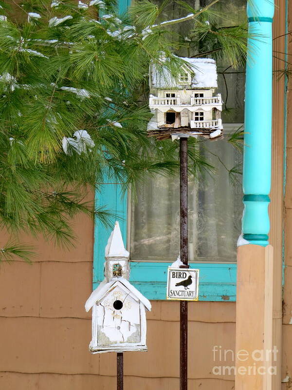 Bird Houses Art Print featuring the photograph Feathered Friends welcome by Nancy Patterson