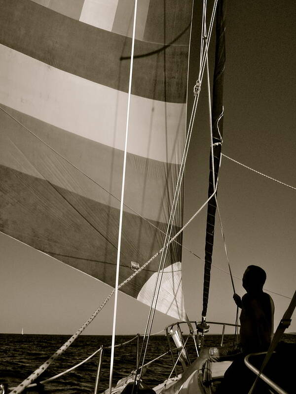 Sailing Art Print featuring the photograph Flying II by Kim Pippinger