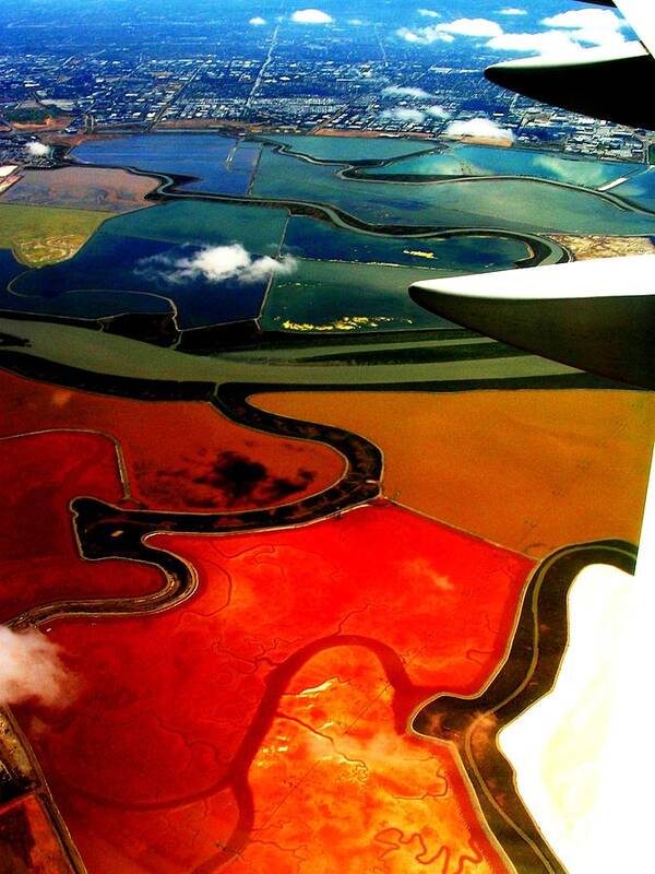 Landscape Art Print featuring the photograph Flying into SFO by Elizabeth Hoskinson