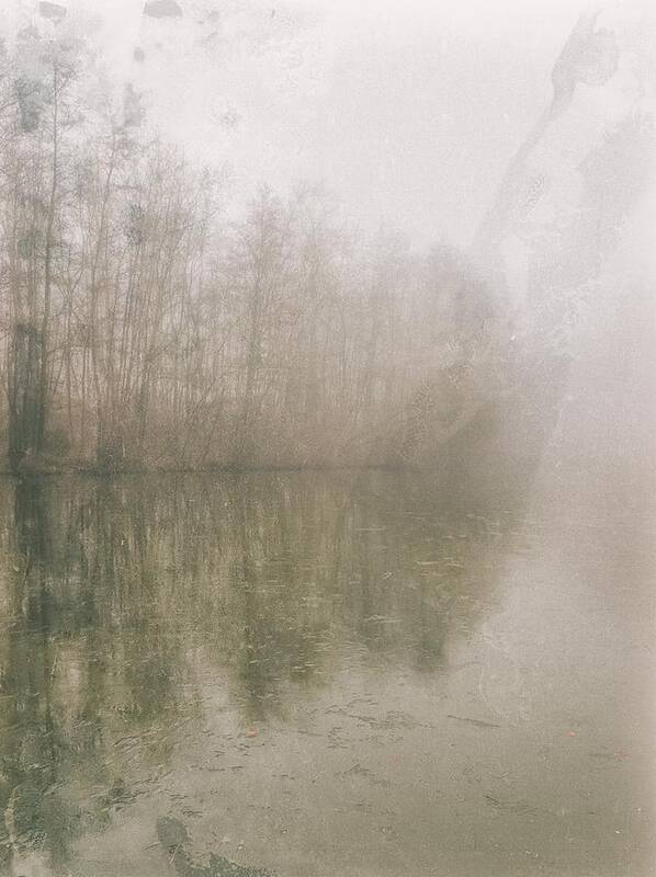 Fog Art Print featuring the photograph Foggy Day on the Border of the Lake by Maciej Markiewicz