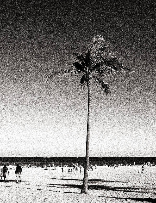 Palm Tree Art Print featuring the digital art Fort Lauderdale Palm Tree by Phil Perkins