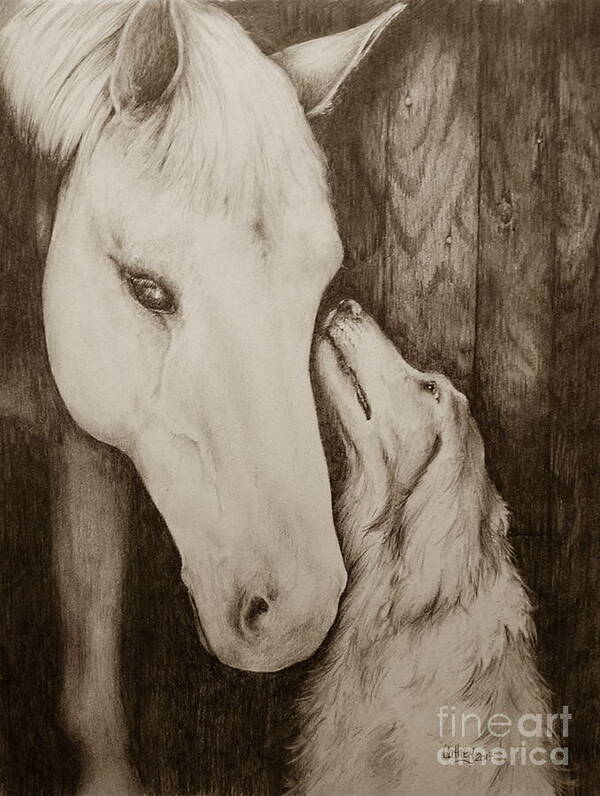Horse Art Print featuring the drawing Friends in Sepia by Catherine Howley