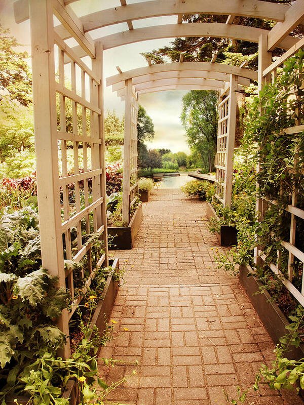 Garden Art Print featuring the photograph Garden Trellis View by Jessica Jenney