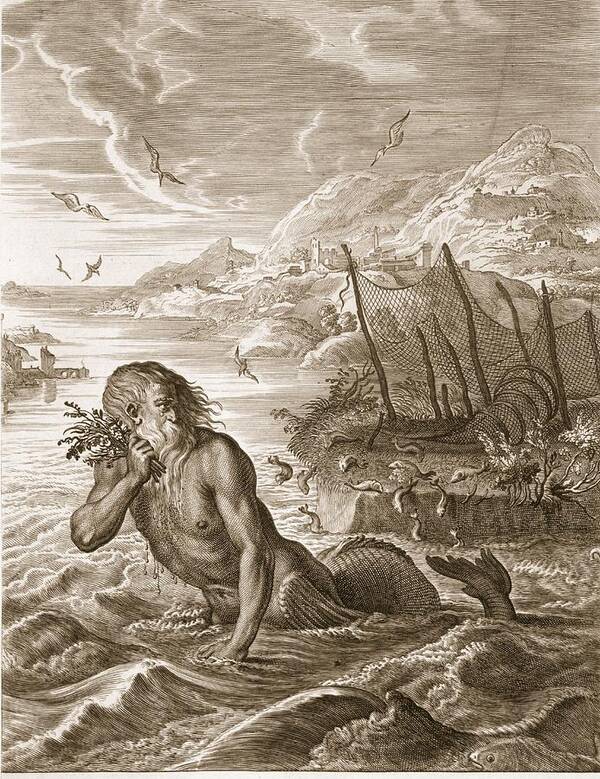 Metamorphosis Art Print featuring the drawing Glaucus Turned Into A Sea-god, 1731 by Bernard Picart