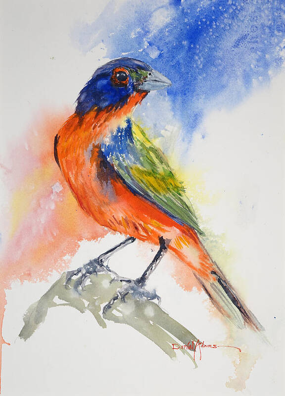 Bird Art Print featuring the painting DA188 Glow of the Painted Bunting Daniel Adams by Daniel Adams