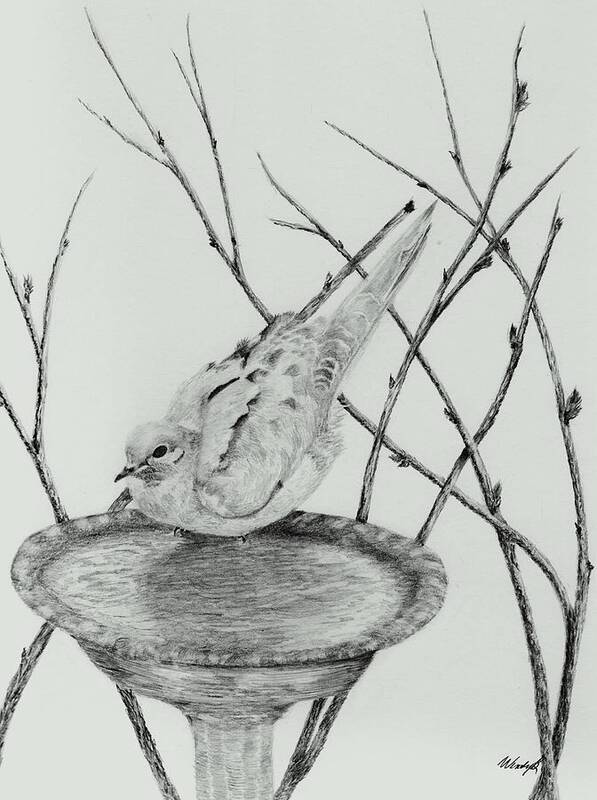 Bird Art Print featuring the drawing Going In by Wendy Brunell