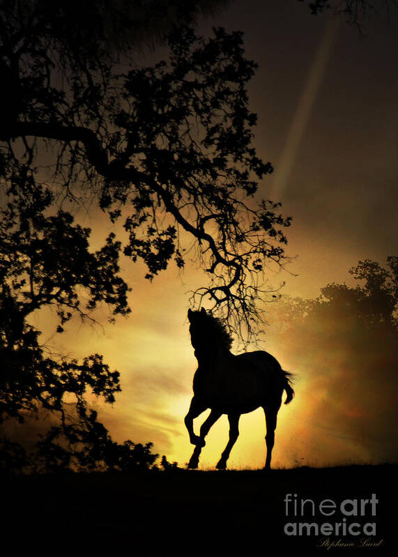 Horse Art Print featuring the photograph Golden by Stephanie Laird