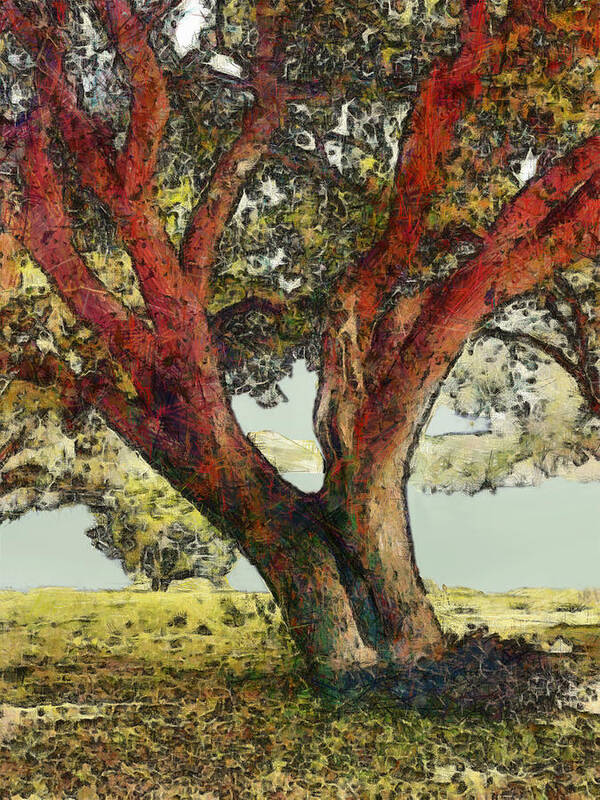 Tree Art Print featuring the digital art Grandmother by Wendy J St Christopher