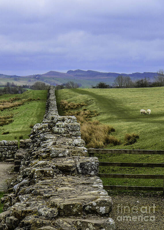 M C Story Art Print featuring the photograph Hadrian's Wall by Mary Carol Story