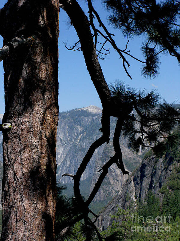 Yosemite Art Print featuring the photograph Sierra Nevada by Mini Arora