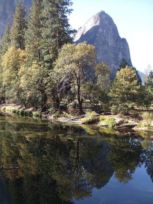 Half Art Print featuring the photograph Half Dome Reflection by Richard Reeve