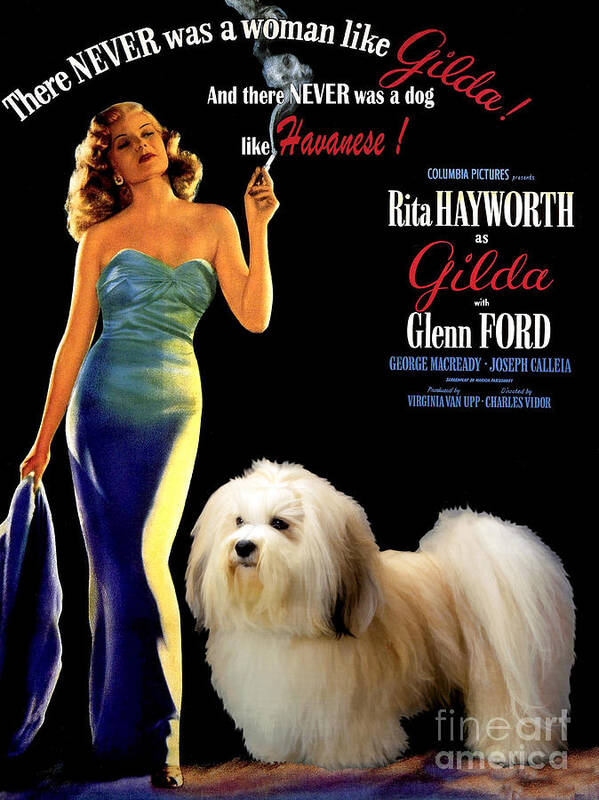 Dog Art Print featuring the painting Havanese Art - Gilda Movie Poster by Sandra Sij